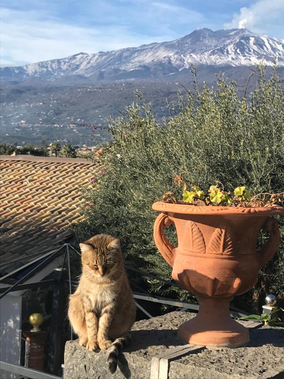 Borgo San Biagio Villa Calatabiano Eksteriør bilde